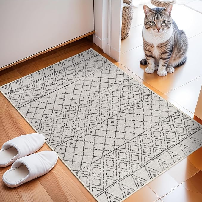 2x3 Entryway Rug Washable