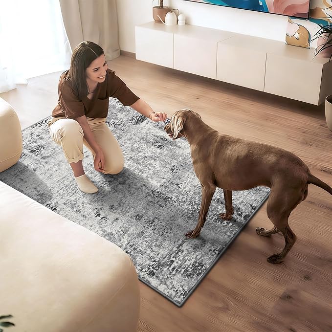 Entryway Rug 3x4 Grey Bedroom Area Rug Washable Non Slip Abstract Boho Rugs