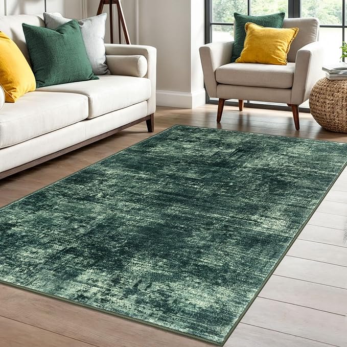 IOHOUZE Abstract Area Rug 4x6 Ft Washable Rugs