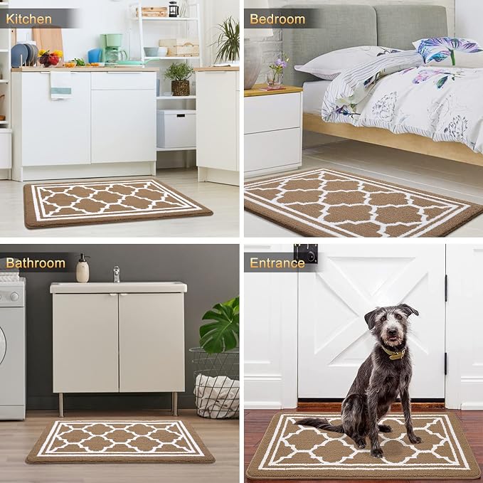 Buganda Large Indoor Door Mat, Dirt-Resistant and Absorbent Doormat, Low