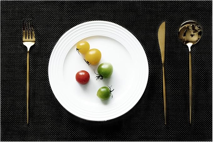 Placemats Set of 4 Vinyl/Plastic Woven Place Mats