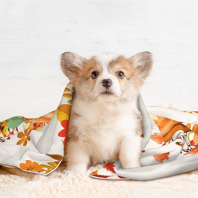 Pumpkins Blanket for Dog Cat - Orange Fall Throw Blanket 40x30 Autumn Pet Blanket for Couch Sofa Bed