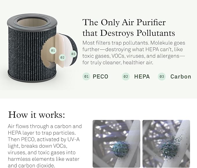 Molekule Mini/Mini+ Air Filter