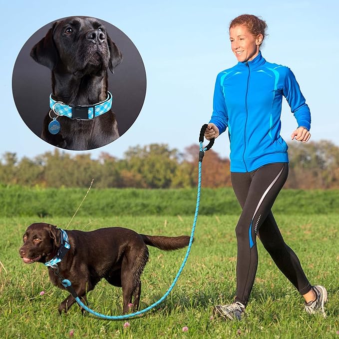 Reflective Dog Collar Padded with Soft Neoprene Breathable Adjustable Nylon Dog Collars for Small Medium Large Dogs (X-Small (Pack of 1), Vivid Blue Plaid Collar+Leash)