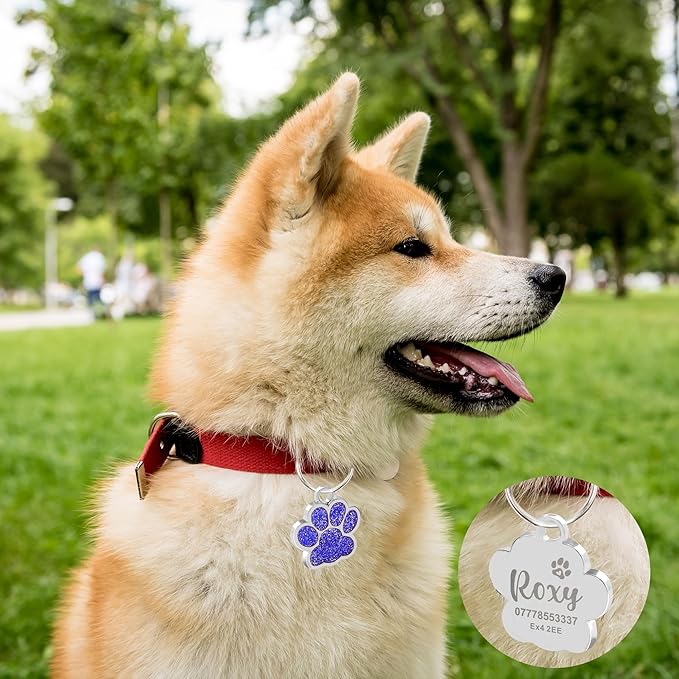EDSG Cat Dog Tags Personalized for Pets, Dog Name Tags Cat Name ID Tag, Engraved Dog Tags Dog ID Tags Small Glitter Bling ID Tag Paw Print for Cat Pet Dog Puppy(Blue,Design 1)