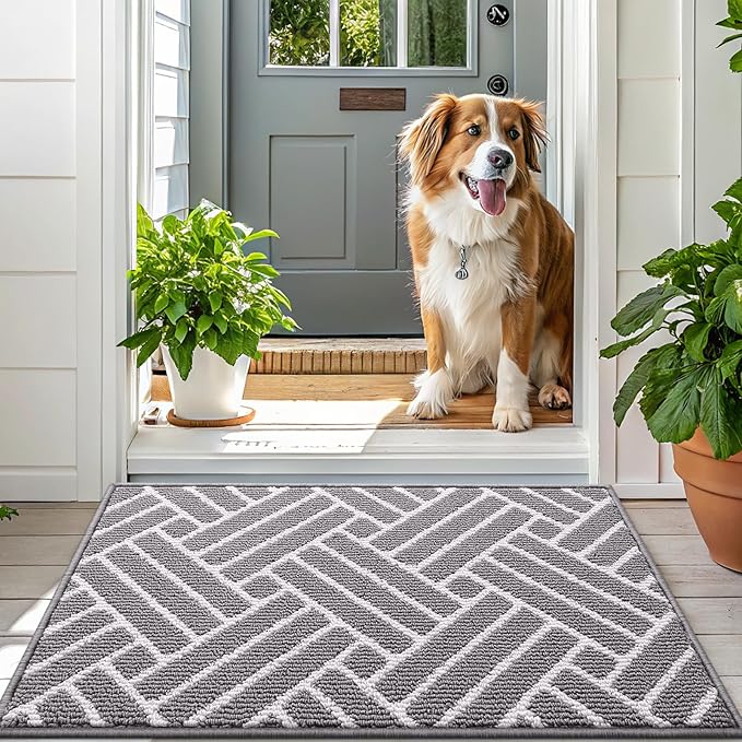 OLANLY Indoor Door Mat, 32x20 Inch, Dirt Resistant and Absorbent, Non-Slip