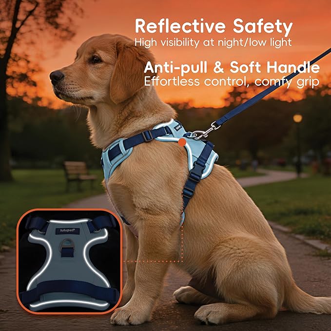 3 in 1 No Pull Dog Harness Leash and Collar Set, Soft Adjustable Dogs Vest Reflective and Comfortable Handle Blue Small