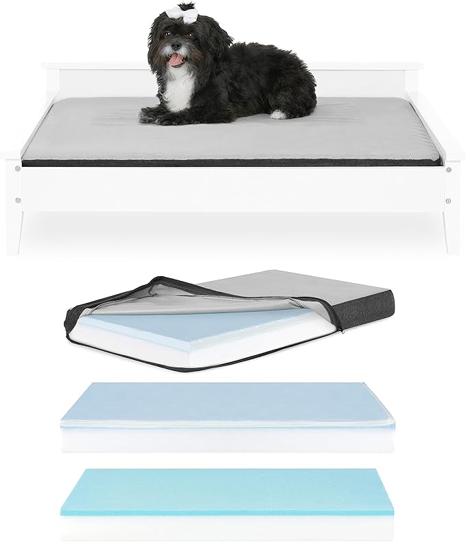 Wooden Dog Bed with Water-Resistant Mattress, Larget to Extra Large Elevated Pet Bed with Calming Pet Mattress, Greenguard Gold Certified, Modern Dog Couch, Winston - TailZzz