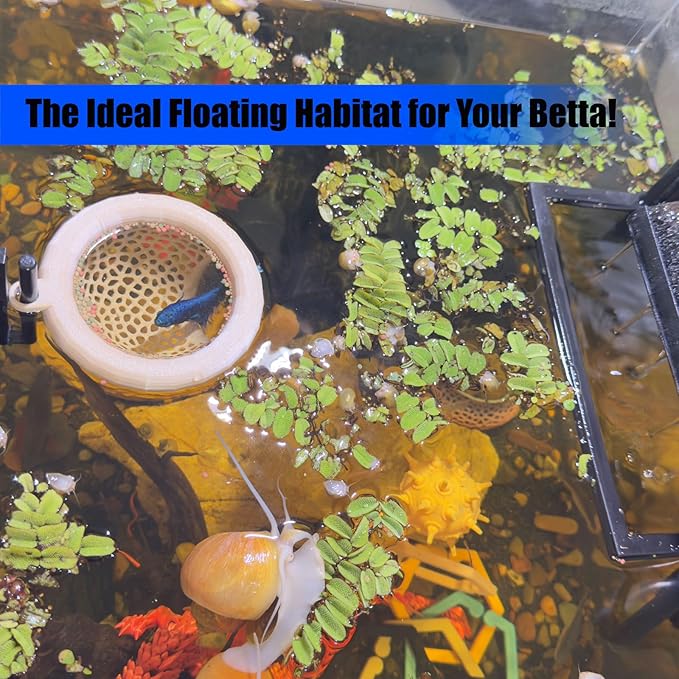 Fish Tank Floating Betta Hide，Betta or Shrimp Burrows and Hammock, Fish and Shrimp Feeder，Multifunctional Aquarium Accessories，Anchorable Location (Wood)