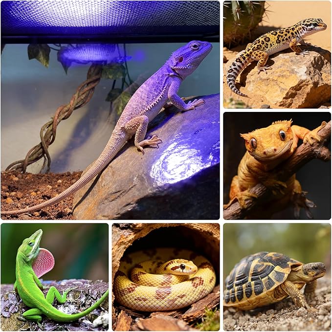 UVB Light for Reptiles, TFNN Reptile Light Fixture with 3-6-12 Cycle Timer & 3 Brightness, Full Spectrum UVA UVB Lamp for Turtles Bearded Dragon Snake (18W)