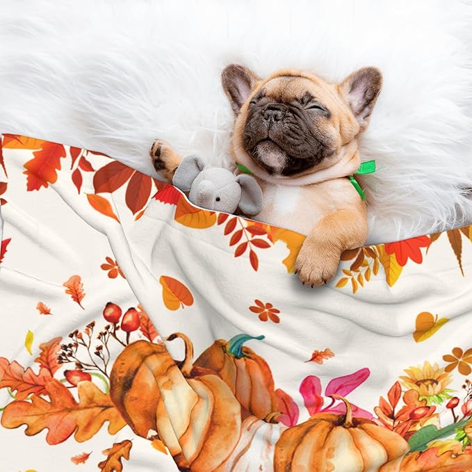 Pumpkins Blanket for Dog Cat - Orange Fall Throw Blanket 30x20 Autumn Pet Blanket for Couch Sofa Bed