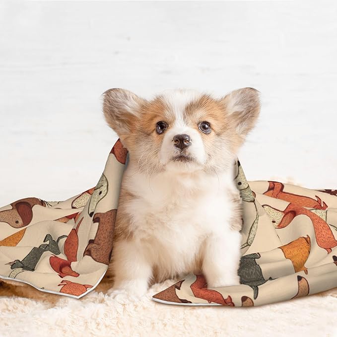 Waterproof Dog Blanket Soft Pet Blanket for Puppy Cat, Fleece Cat Throw Blankets for Furniture Bed Couch Sofa Reversible - Cartoon Dachshund Dog Woof
