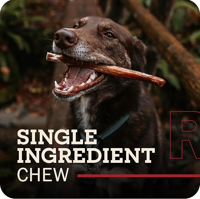 Redbarn Pet Products Naturals 200005 Odor Free Bully Springs Pet Chew Treat 25 Case, One Size