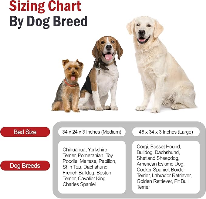 Majestic Pet 34x24x3 Inch Khaki Orthopedic Memory Foam Rectangle Dog Bed – Medium Size Crate Dog Bed for Dogs with Joint Pain, Arthritis – Durable Pet Mattress with Egg Crate Foam, Washable Cover