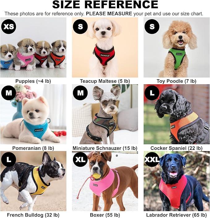Authentic Puppia Soft Harness, Grey, Small