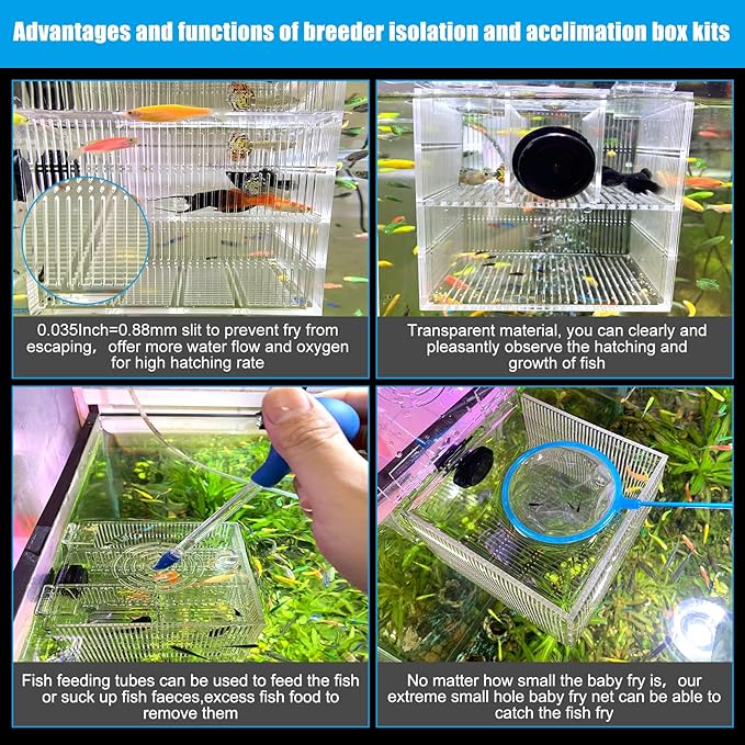 Magnetic Breeder Box for Tank Isolation Box Acclimation Hatchery Fish breeding Incubator with 3 Divider for Guppy Baby Betta Saltwater Anemones or Injured Fish（Sealed Bottom Version）