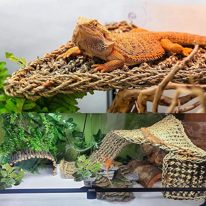 Woyrise 10Pcs Bearded Dragon Tank Accessories, Reptile Hammock Terrarium Plants Jungle Climbing Vines Habitat Decoration for Snakes Bearded Dragon Chameleon Gecko Lizard