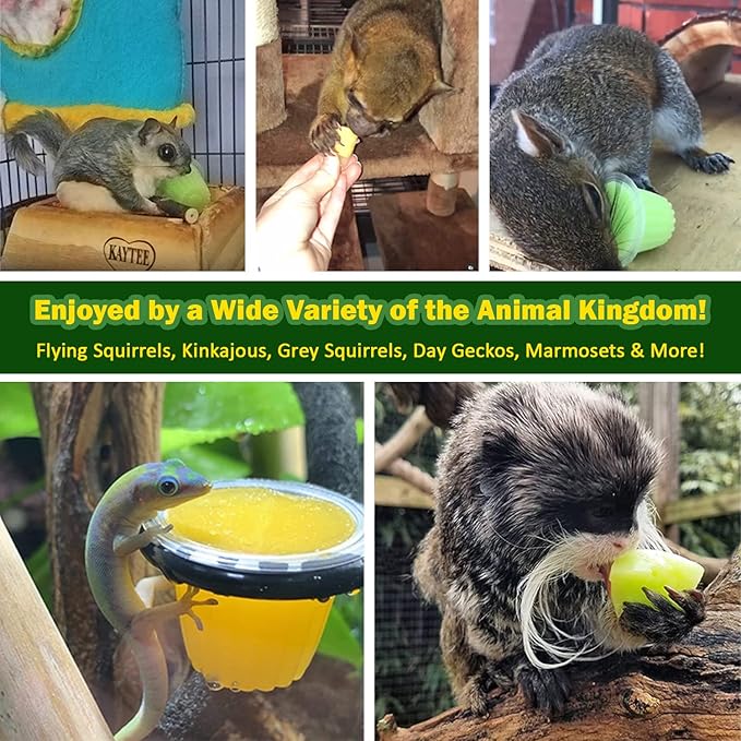 Nectar Pods (Variety 4 Pack) - Calcium-Fortified Jelly Fruit Treat - Sugar Gliders, Marmosets, Squirrels, Parrots, Cockatiels, Parakeets, Birds, Hamsters, Day Geckos, Kinkajous & Other Small Pets