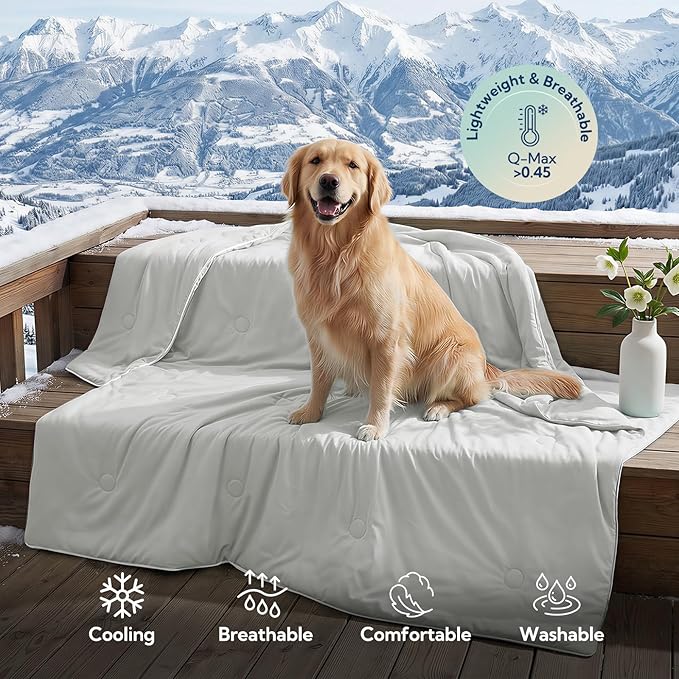 Soulbond Cooling Blanket for Medium Dogs - Q-MAX>0.45, Washable Cool Pet Cats Throw Blanket for Hot Weather, Self-Cooling Soft Dog Mat for Bed Crates Couch Sofa Cars(29"x40", Light Grey)