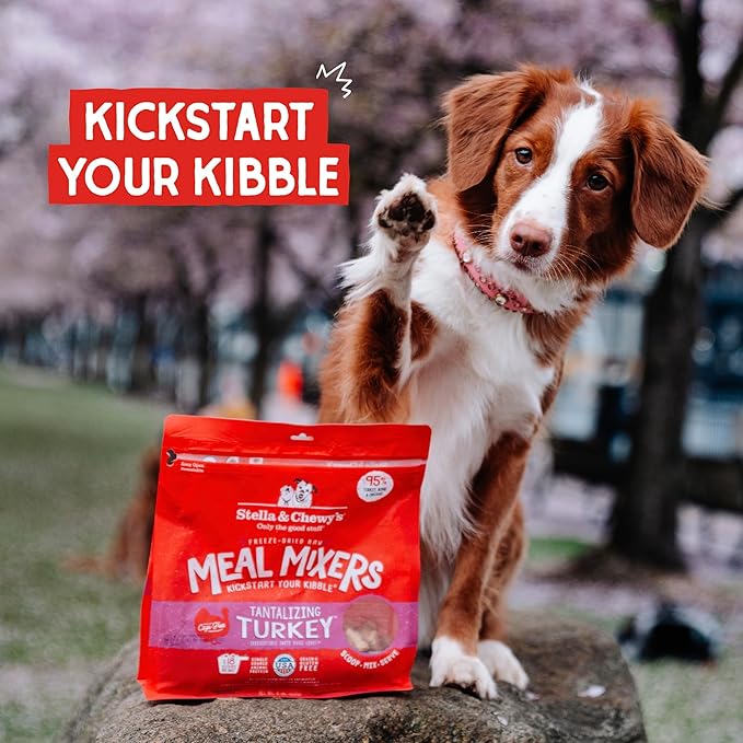 Stella & Chewy's Freeze-Dried Raw Tantalizing Turkey Meal Mixers- Dog Food Topper and Mixer - Made with 95% Cage-Free Turkey, Organs & Bone - Perfect for Picky Eaters - Grain-Free - 1 oz