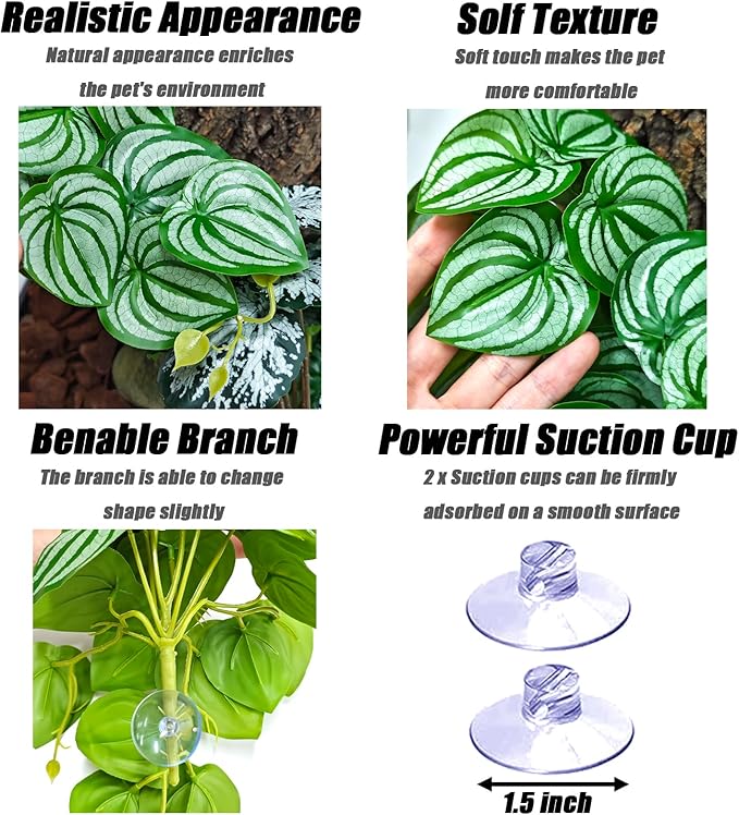 Woyrise 2 Pack Reptile Plants, Terrarium Hanging Plant Vines, Artificial Leaves with Suction Cup, Bearded Dragon Tank Accessories for Gecko Lizard Snake Frog Tortoise Decorations - Calathea Orbifolia