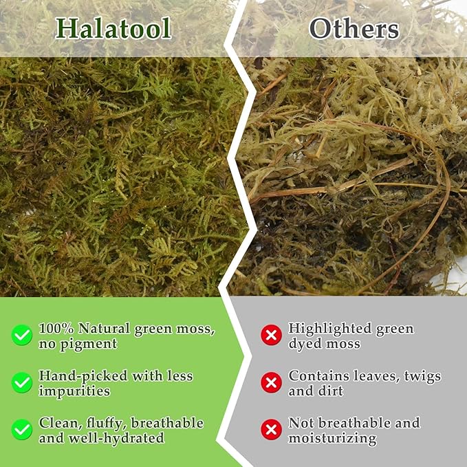 Halatool 2.2LB Natural Sphagnum Moss for Reptiles- 50QT Green Moss for Terrarium Plants Long Fiber Reptile Moss for Leopard Gecko Snake Hamsters Tortoises Frogs Lizards Salamanders