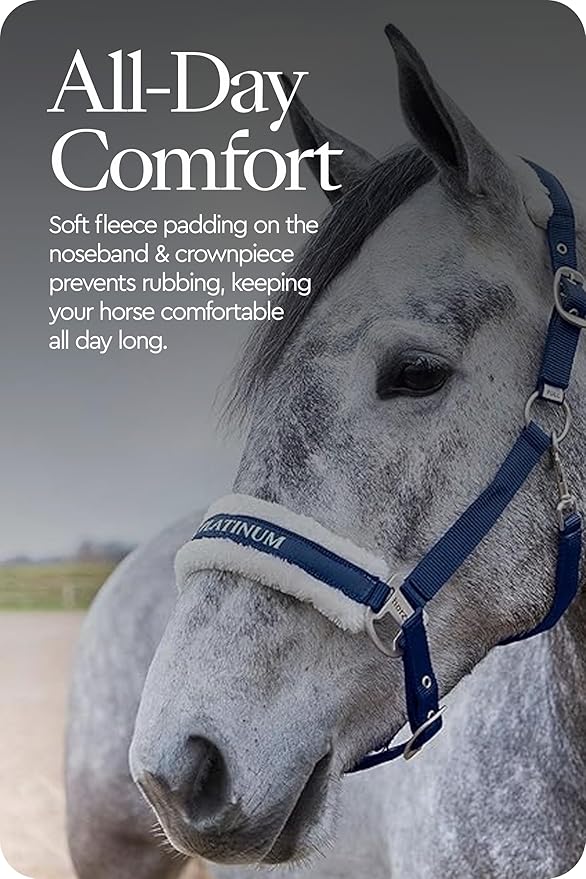 HORZE Howard Soft Fleece Padded Adjustable Polyester Horse Halter - Peacoat Dark Blue - Pony