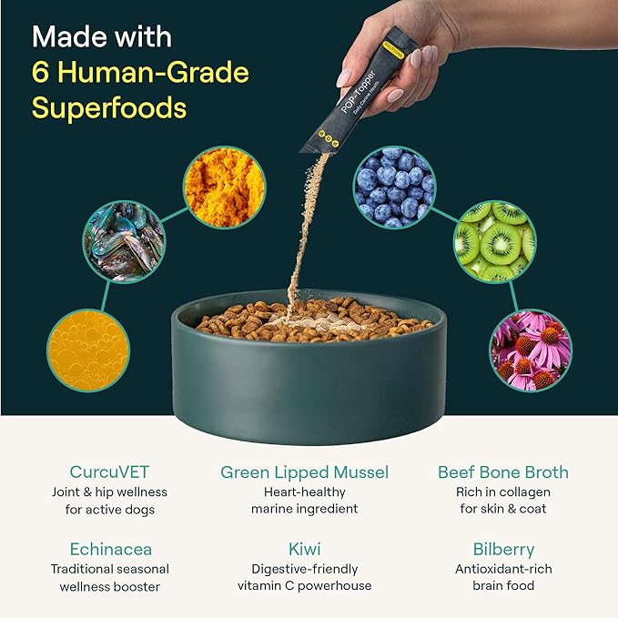 Dog Food Supplement – Multivitamin Powder for Dogs - Bone Broth Base with 6 Human-Grade Superfoods - Supports Joints, Gut, Skin & Coat - Ideal for Picky Eaters, 35+ lbs - 30 Packets