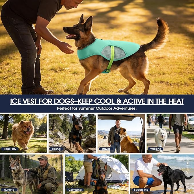 IECOii Reflective Dog Cooling Vest for Hot Weather, Soft Cooling Jacket Summer Dog Cooler Shirt with Leash Ring, Breathable Pet Cool Harness for Outdoor Walking, Hiking, Beach, Turquoise, Size L