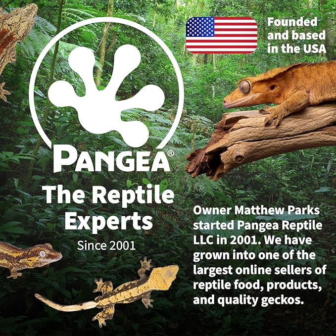 Pangea Ultimate Eco Dish, Crested Gecko Food and Water Bowl for Terrestrial Lizards, Durable Silicone Feeding Accessory for Reptile Terrariums 3.125in x 5.5in (Turquoise Marble)