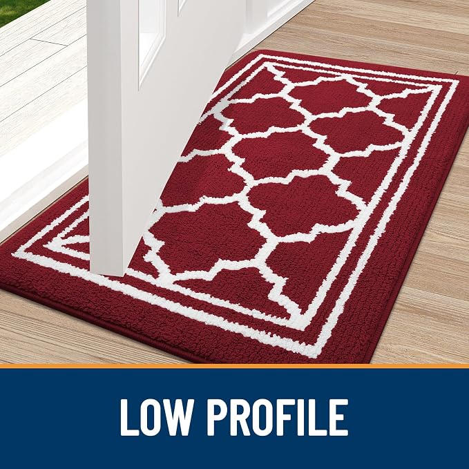 Buganda Indoor Door Mat, Dirt-Resistant and Absorbent Doormat, Low Profile