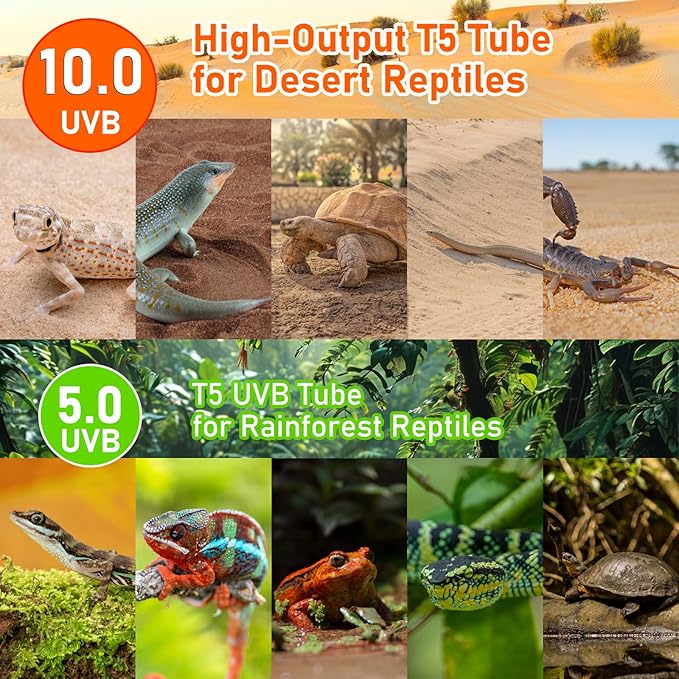 T5 10.0 UVB Light Blubs for Bearded Dragon,UVA UVB 10.0 T5 HO Reptile Ligh Bar Bulbs 39W 34 inch for Desert Lizards,Leopard Gecko,Tortoise,Reptile & Amphibian Replacement Lamp Bulb 2 Pack