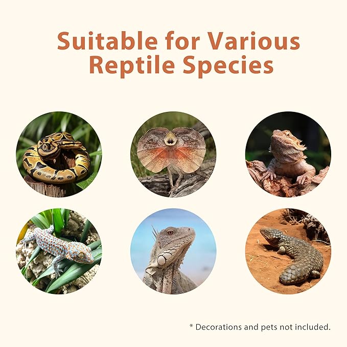 4x2x2 (120 Gallon) PVC Reptile Enclosure, RepWild Terrarium/Tank with Heavy-Duty Screen Top, Glass Sliding Doors & Lock for Bearded Dragons, Ball Python, Geckos, Lizards