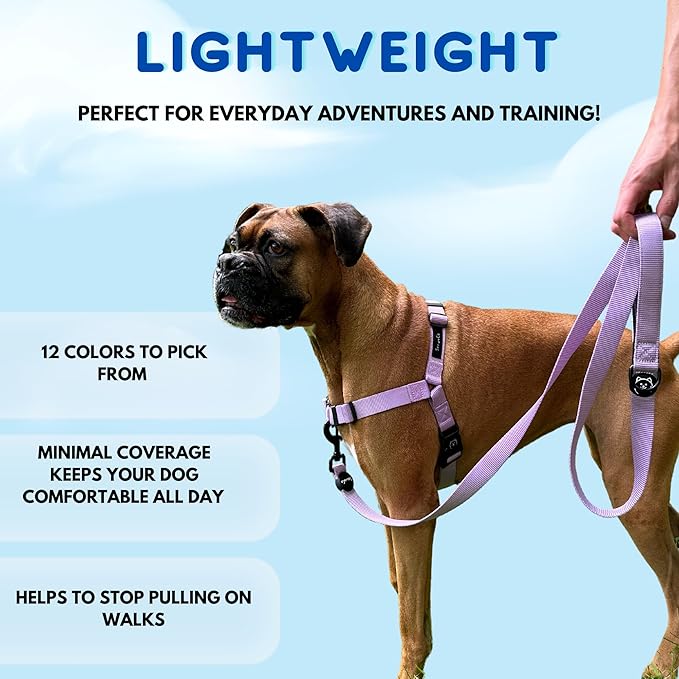 ShawnCo Dream Walk No-Pull Dog Harness- Adjustable, Comfortable, Easy to Use Pet Halter to Help Stop Pulling for Small, Medium and Large Dogs- Art Pattern Designs (Stars and Stripes, L)