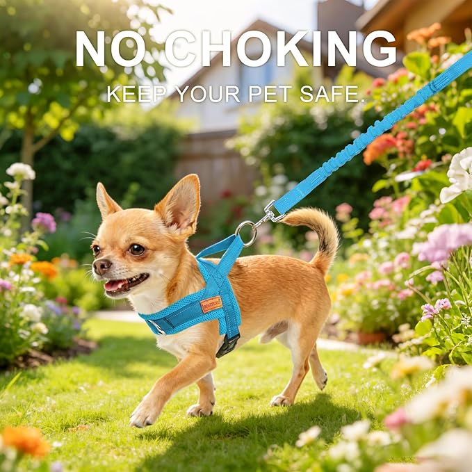 BEAUTYZOO Dog Harness for Small Dogs, No Pull Dog Harness and Leash Set, Soft Escape Proof Puppy Vest Harness with Handle, Reflective Lightweight Step in Harness for Girl Boy Dogs, Blue S