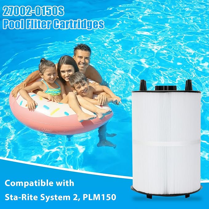 27002-0150S Pool Fliter, Replacement