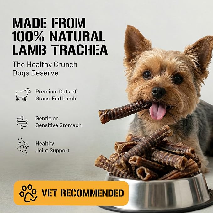 Dog Chits Lamb Trachea Dog Chews - 100% Single Ingredient, High Protein, Low Fat - Glucosamine for Joint Support - Dental-Clean Crunch - for Dogs Sensitive to Beef, Training Treat - 6 inch, 8 oz