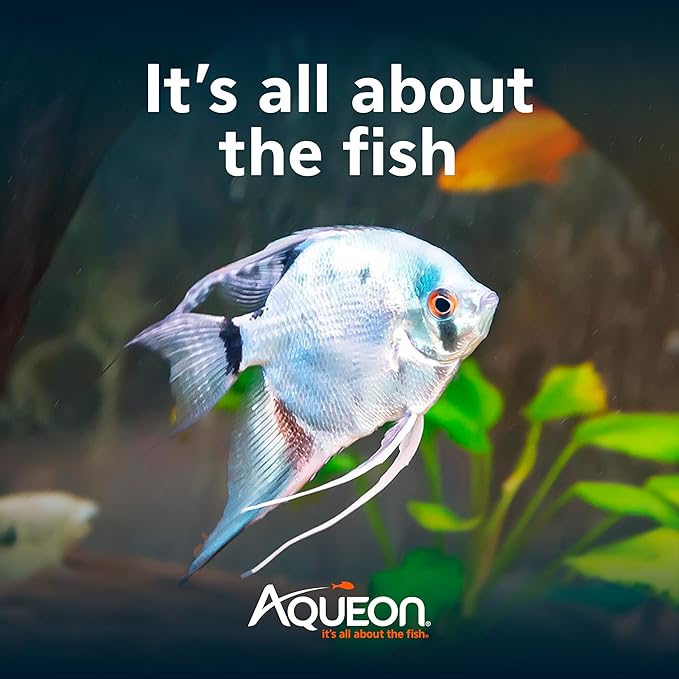 Aqueon Fish Tank Aquarium Essentials Starter Kit for 29 Gallon Tanks