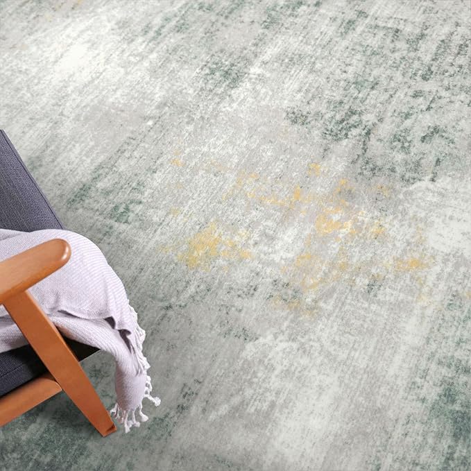 IOHOUZE Abstract Area Rug 3x5 Ft Washable Rugs