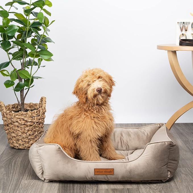 Modern Threads Luxury Dog Bed - Comfortable Tufted Velvet Cushion for Small to Medium Dogs - Machine Washable - Durable & Cute Sleep Space for Pets - Pamper Your Pet with Cozy Beds - Beige
