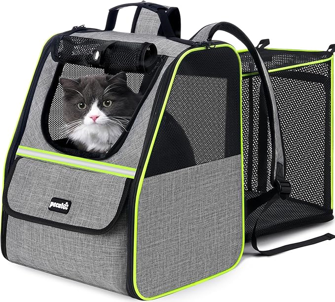 Pecute Cat Backpack Carrier, Expandable Cat Backpack for Cats Dogs up to 11 lbs, Pet Travel Backpack for Small Dogs Medium Cats, Cat Carrier with Ventilated Mesh, Safety Leash, Hiking Outdoor, Grey