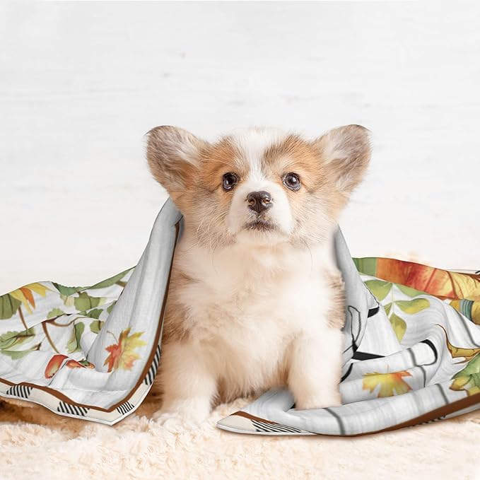 Fall Blanket for Pet - Wood Throw Blanket 40x30 Pumpkin Birds Sunflowers Couch Blankets for Puppy Dogs Cats