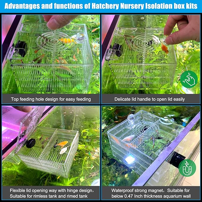 Magnetic Fish Breeder Box for Aquarium Tank Isolation Box Acclimation Hatchery breeding Incubator for Guppy Baby Betta Saltwater Clownfish Coral Anemones Aggressive or Injured Fish