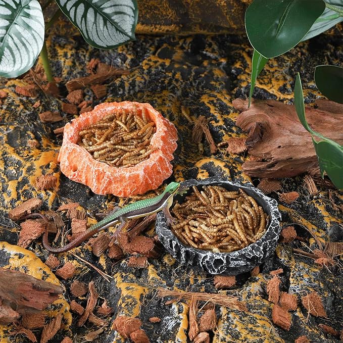 IBWell 2pcs Reptile Water Bowl with Feeding Tweezers - Feeding Dish for Lizard, Snake, Tortoise & Small Animals - Grey Rock