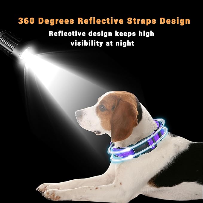 2 Pack Reflective Dog Collar with Safety Locking Buckle, Adjustable Soft Breathable Comfortable Nylon Pet Collar for Small, Medium and Large Dogs, Purple, XL