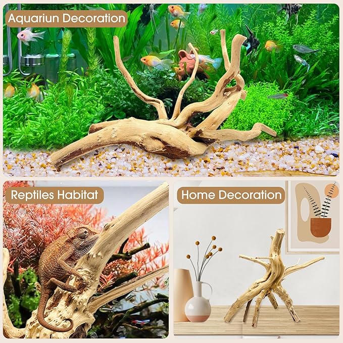 Jorewood Natural Large Spiderwood Driftwood for Aquarium Decor Rptile Fish Tank Decoration Assort Branch 7-11'' 3 Pcs