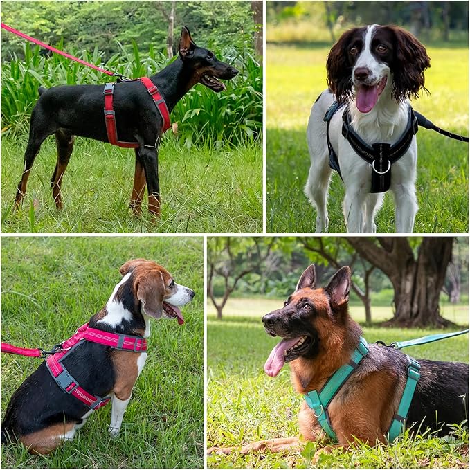 Plutus Pet No Pull Dog Harness, Adjustable Nylon Harness with Soft Padding, Reflective and Heavy Duty Dog Harness for Small, Medium, Large Dogs(Chocolate, L)