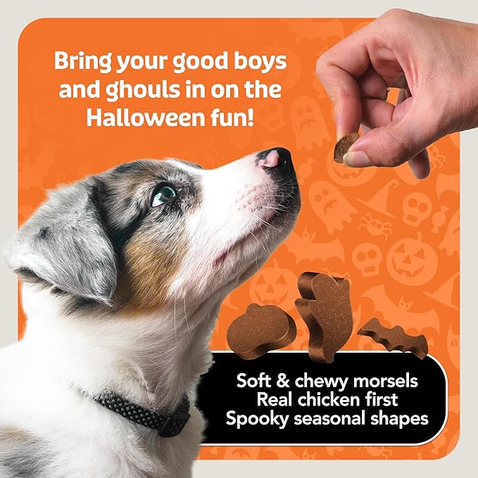 Blue Buffalo Boo Bits Soft & Chewy Halloween Dog Treats, Tasty Chicken Recipe, 4.5-oz Bag (Pack of 4)
