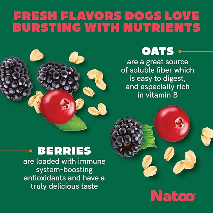 NATOO Biscuits for Small Dogs & Puppies Crunchy Dog Treats, Oats & Berry Healthy Natural Canine Biscuits, Rich in Omega 6, Prebiotics & Fiber, Antioxidants for Immunity (8 oz)
