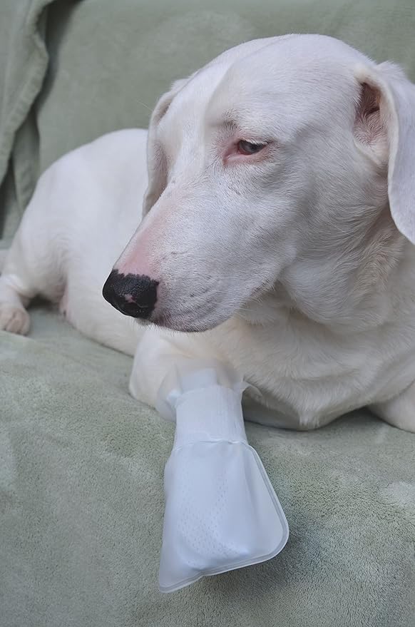 Outdoor Water Proof Cover. Slides Over MediMitts for Dogs paw (which are Sold Separately) Fastens with Medimitt Strap. Useful for hot Spots, Allergies and More. Value 20pack (X-Small)